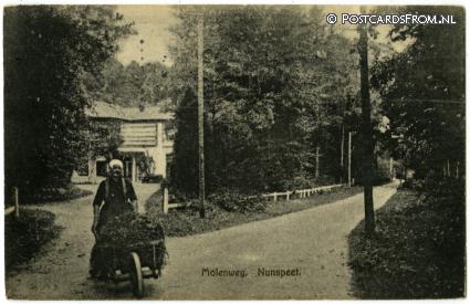 ansichtkaart: Nunspeet, Molenweg