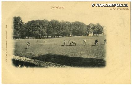 ansichtkaart: 's-Gravenhage, Hertenkamp