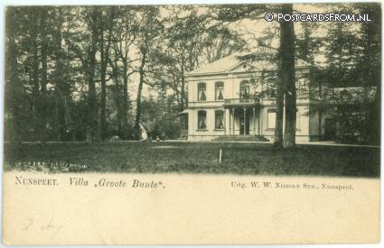 ansichtkaart: Nunspeet, Villa 'Groote Bunte'