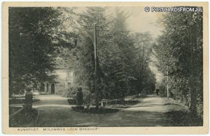ansichtkaart: Nunspeet, Molenweg 'Den Breehof'