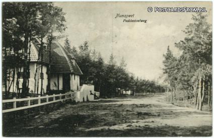 ansichtkaart: Nunspeet, Paddestoelweg