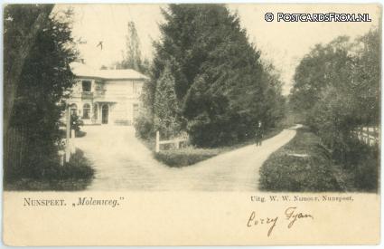 ansichtkaart: Nunspeet, Molenweg