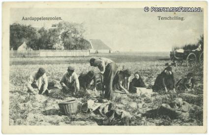 Terschelling, Aardappelenrooien ansichtkaart: Terschelling, Aardappelenrooien