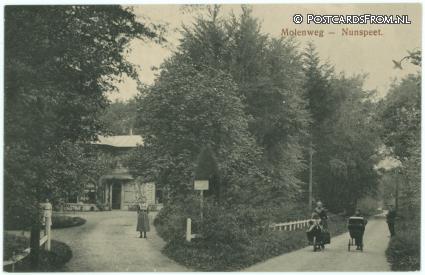 ansichtkaart: Nunspeet, Molenweg