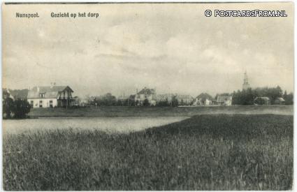 ansichtkaart: Nunspeet, Gezicht op het dorp