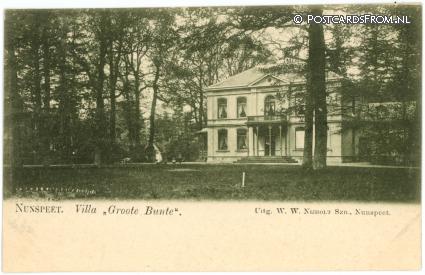 ansichtkaart: Nunspeet, Villa 'Groote Bunte'