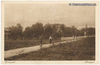 ansichtkaart: Nunspeet, Spoorpad